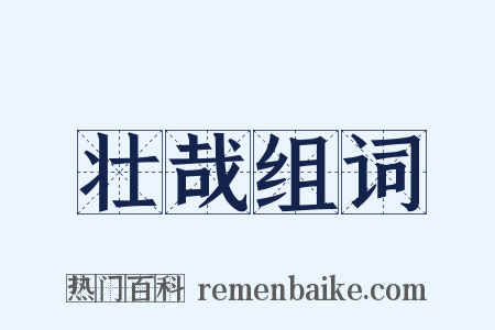 壮哉组词是什么意思的图片